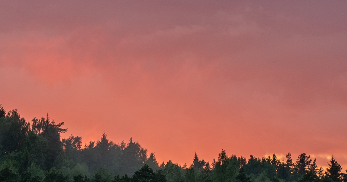 Tarkvaraarendus ja mobiiliäppide arendus | Datanor